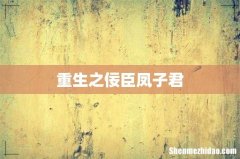 重生之佞臣凤子君