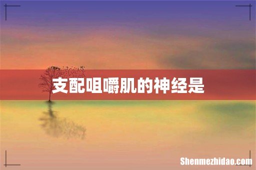 支配咀嚼肌的神经是