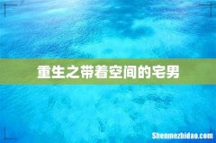 重生之带着空间的宅男