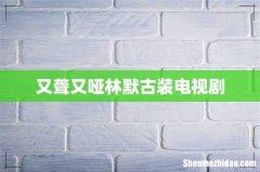 又聋又哑林默古装电视剧