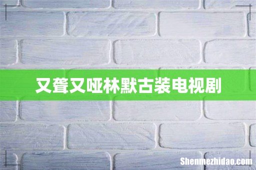 又聋又哑林默古装电视剧
