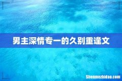 男主深情专一的久别重逢文