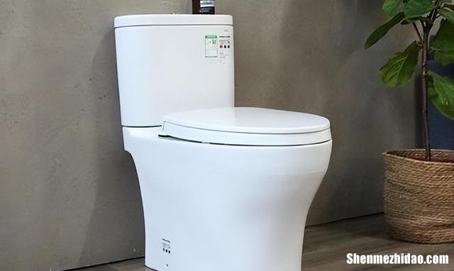 座便器-十大品牌 坐便器知名品牌排行榜