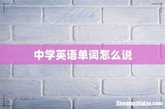 中学英语单词怎么说