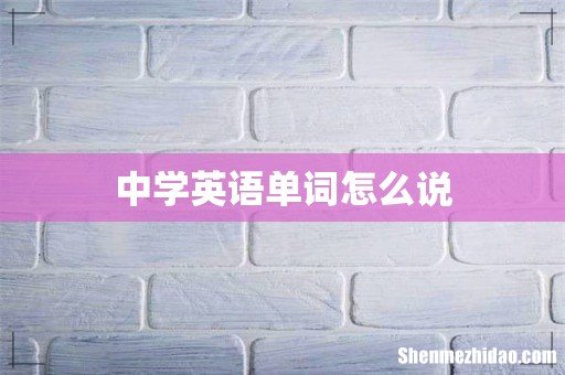 中学英语单词怎么说