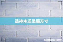 选神木还是魔方寸
