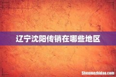 辽宁沈阳传销在哪些地区