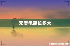 元奥龟能长多大