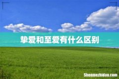 挚爱和至爱有什么区别
