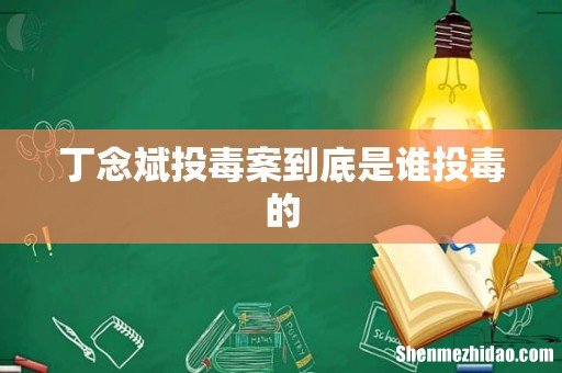 丁念斌投毒案到底是谁投毒的