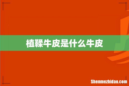 植鞣牛皮是什么牛皮