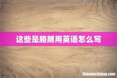 这些是胳膊用英语怎么写