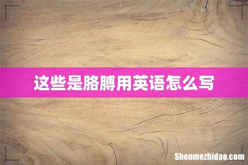 这些是胳膊用英语怎么写