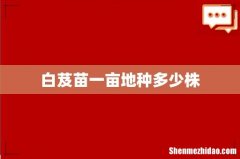 白芨苗一亩地种多少株