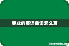专业的英语单词怎么写