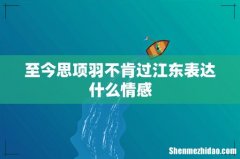 至今思项羽不肯过江东表达什么情感