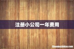 注册小公司一年费用