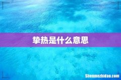 挚热是什么意思