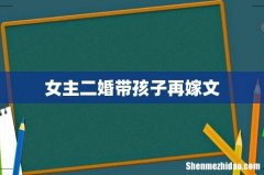 女主二婚带孩子再嫁文