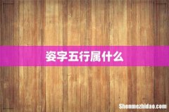 姿字五行属什么