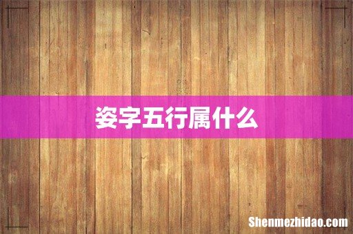 姿字五行属什么
