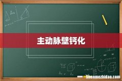 主动脉壁钙化