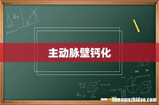 主动脉壁钙化