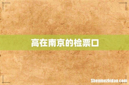 高在南京的检票口