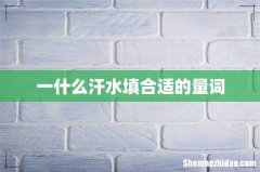 一什么汗水填合适的量词