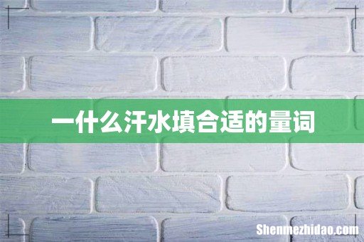 一什么汗水填合适的量词