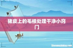 猪皮上的毛根处理干净小窍门