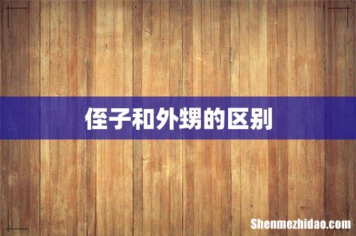 侄子和外甥的区别
