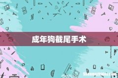 成年狗截尾手术