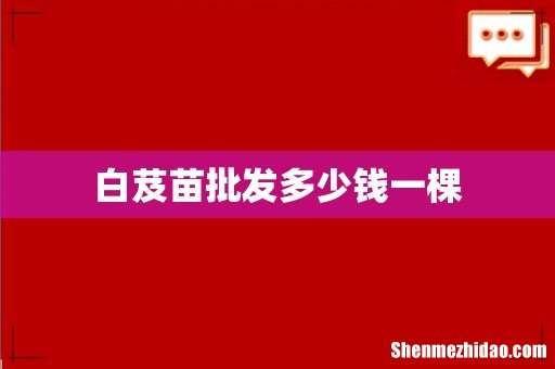 白芨苗批发多少钱一棵
