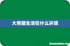 大熊猫生活在什么环境