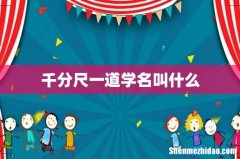 千分尺一道学名叫什么