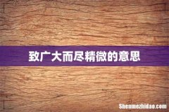 致广大而尽精微的意思