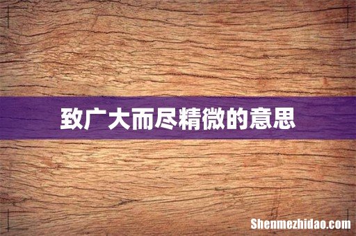 致广大而尽精微的意思