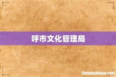 呼市文化管理局