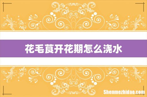 花毛茛开花期怎么浇水