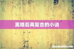 离婚后再复合的小说