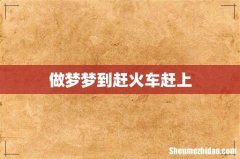 做梦梦到赶火车赶上