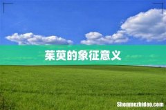 茱萸的象征意义