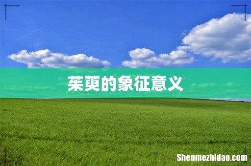 茱萸的象征意义
