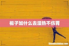 栀子加什么去湿热不伤胃