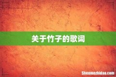 关于竹子的歌词