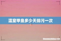 温室甲鱼多少天排污一次