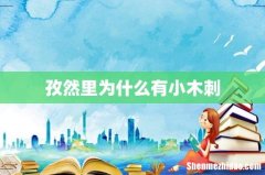 孜然里为什么有小木刺
