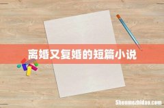 离婚又复婚的短篇小说
