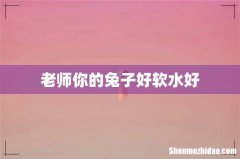 老师你的兔子好软水好